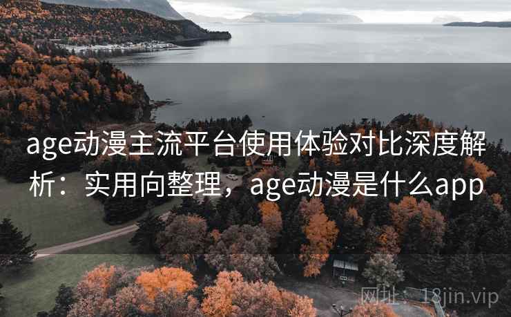 age动漫主流平台使用体验对比深度解析：实用向整理，age动漫是什么app