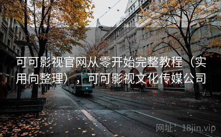 可可影视官网从零开始完整教程（实用向整理），可可影视文化传媒公司  第1张