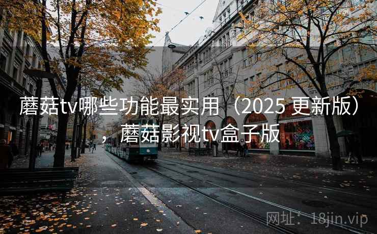 蘑菇tv哪些功能最实用(2025 更新版),蘑菇影视tv盒子版 第1张 蘑菇tv哪些功能最实用(2025 更新版),蘑菇影视tv盒子版 第1张